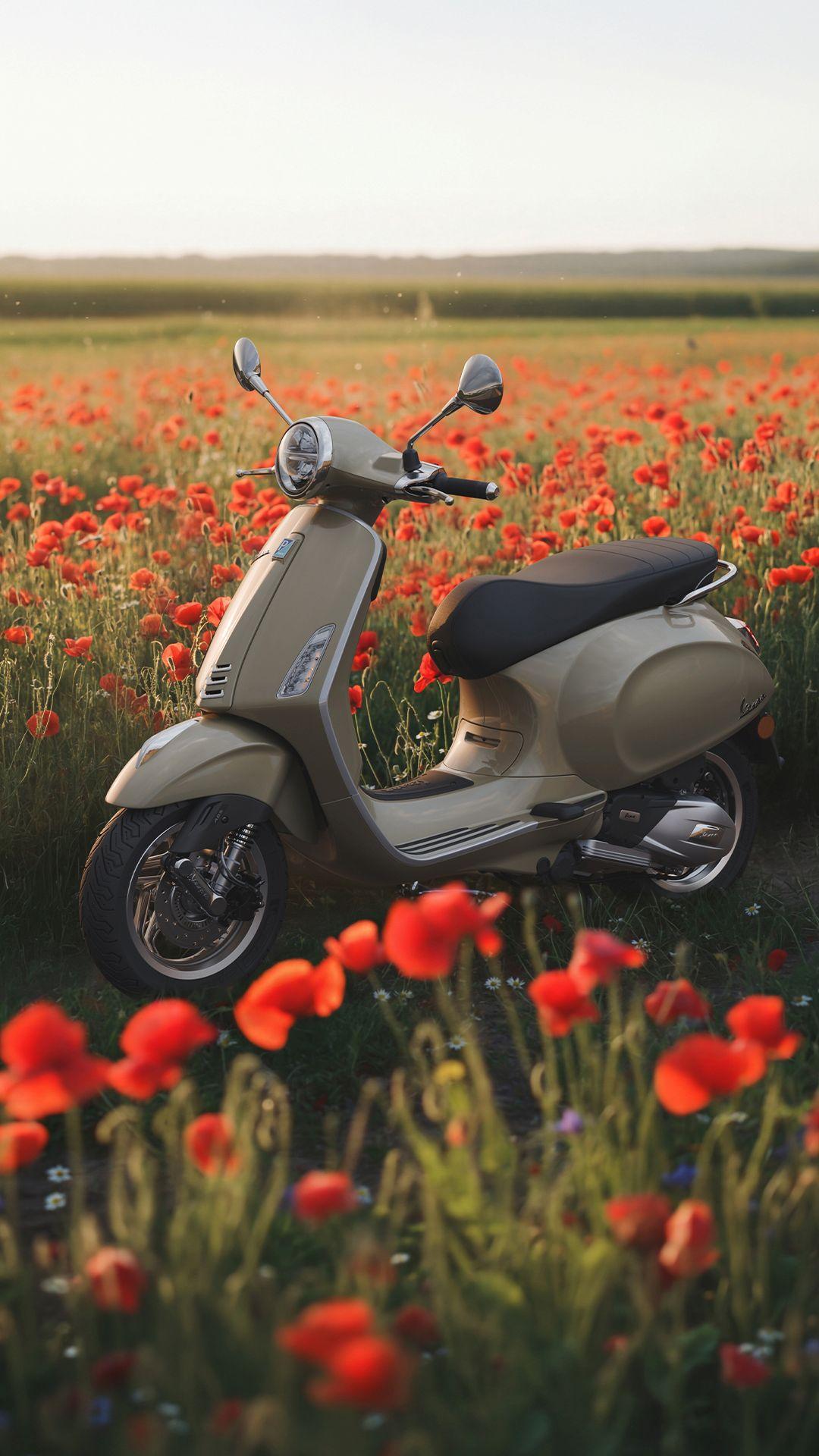 Primavera